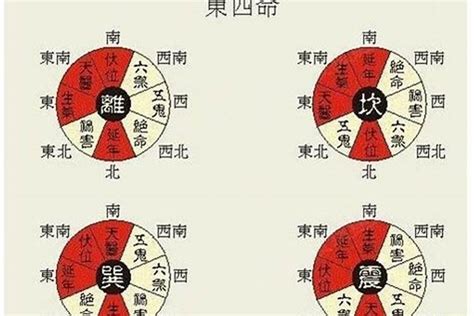 震命人|震宫东四命是什么